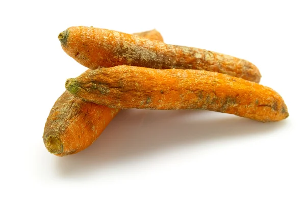 Гнилая морковь — стоковое фото