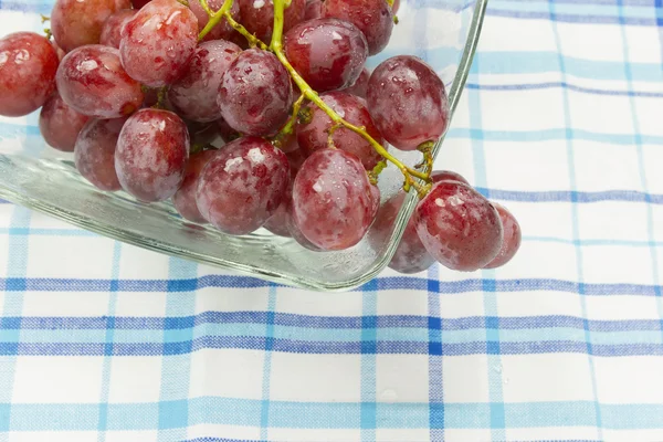 Розовый виноград — стоковое фото
