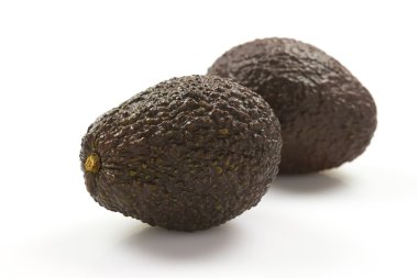 koyu avokado