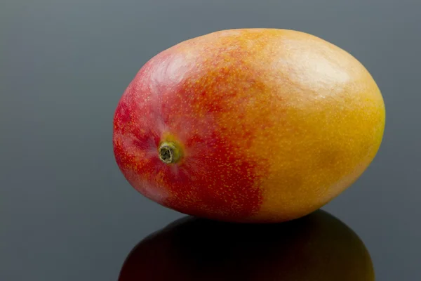 Mango on back — Stock Photo, Image