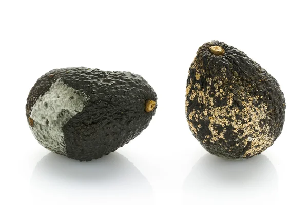 Rotten avocados — Stock Photo, Image