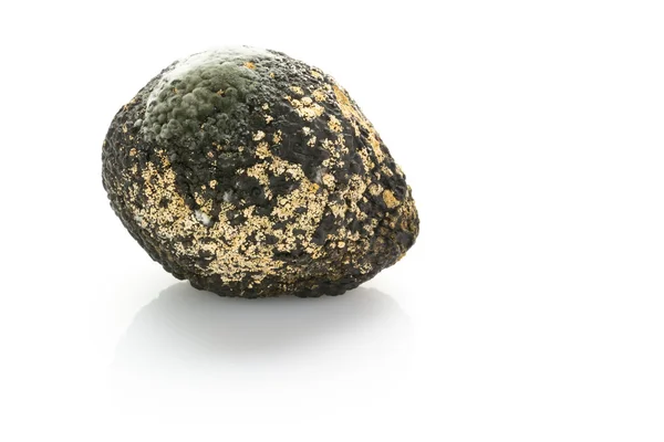 Rotten avocado — Stock Photo, Image