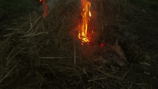 Kamp ateşi ağır çekimde — Stok video