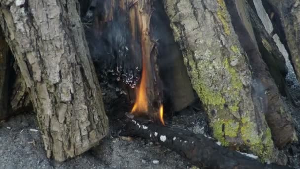 Lagerfeuer in Brand gesetzt — Stockvideo