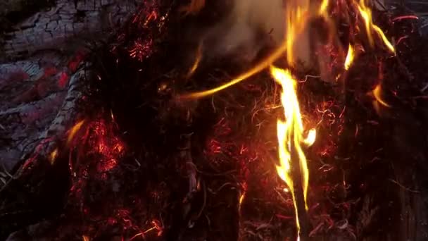 Пожежа у повільному русі — стокове відео