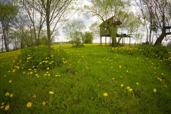 Stromový dům — Stock fotografie