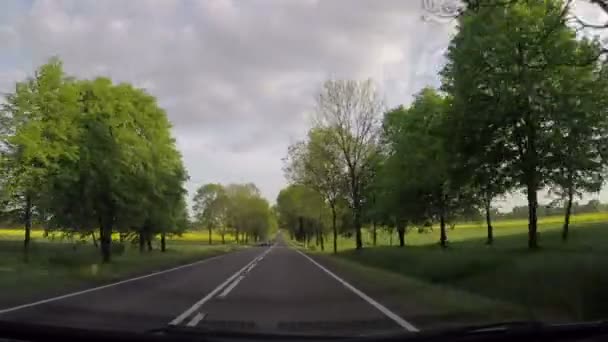 Rijdende auto via niet stedelijke weg — Stockvideo
