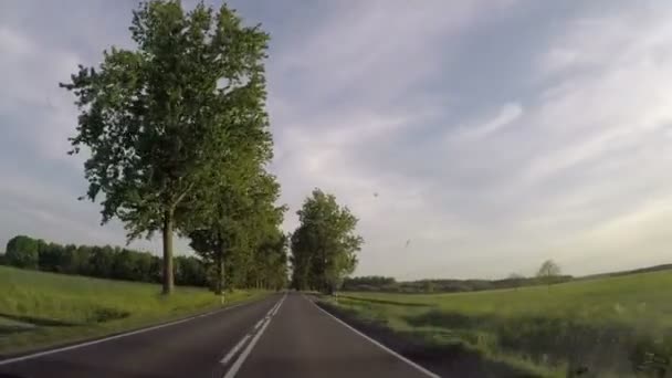 Rijdende auto via niet stedelijke weg — Stockvideo