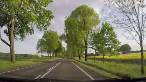 Driving car through non urban road — Stock Video