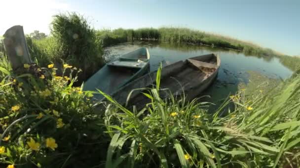 Barcos en la orilla del río — Vídeos de Stock