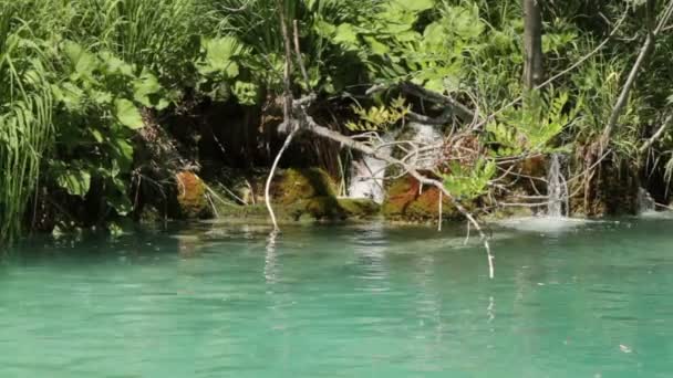 Pequena cachoeira — Vídeo de Stock