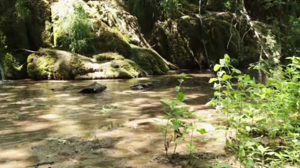 Kleiner Waldwasserfall — Stockvideo