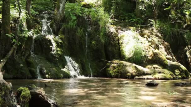 小さな森の滝ljus blå himmel och gröna träd — ストック動画