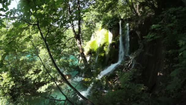 Kleiner Waldwasserfall — Stockvideo