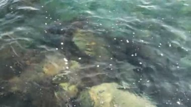 kayalık alt dalga deniz