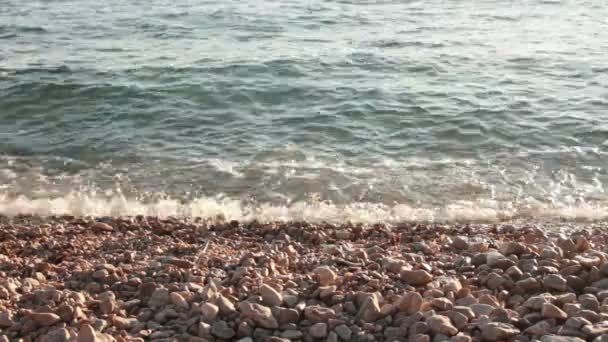 Гальковий пляж — стокове відео