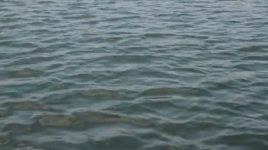 dinamik deniz dalga doku arka plan