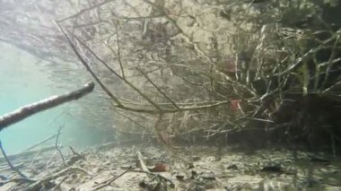 Sualtı Gölü banka