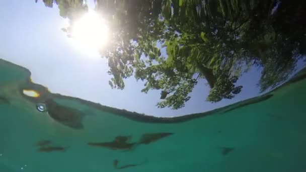 Sol que mira bajo el agua — Vídeo de stock