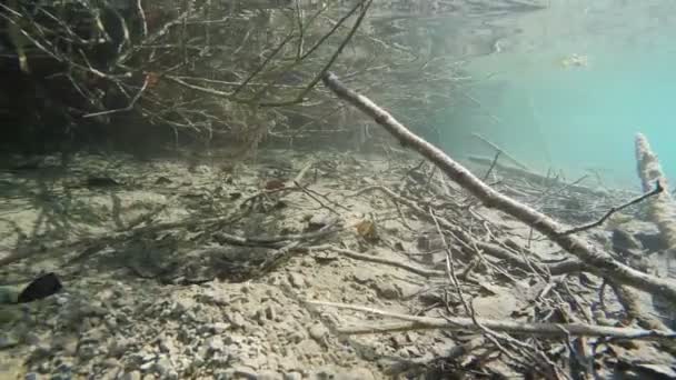 Orilla del lago bajo el agua — Vídeos de Stock