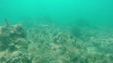 ağır çekimde harap deniz alt