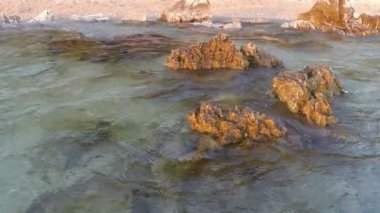 plaj dalgalar ile buzlu