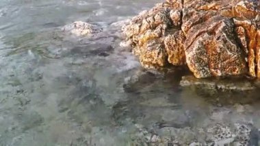 plaj dalgalar ile buzlu