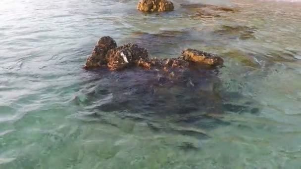 Rochers sur la plage avec des vagues — Video