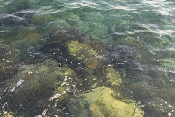 Rocks under water — Stock Photo, Image