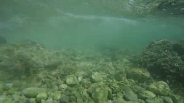 kayalık deniz alt gözlemleyerek