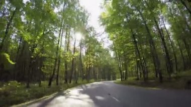 sonbahar orman yolu sürüş