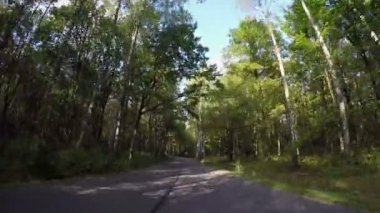 sonbahar orman yolu sürüş