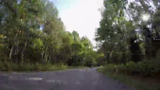 Fast driving through autumn forest road — Stock Video