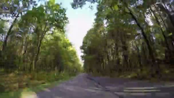 Conducción rápida a través de carretera forestal de otoño — Vídeo de stock