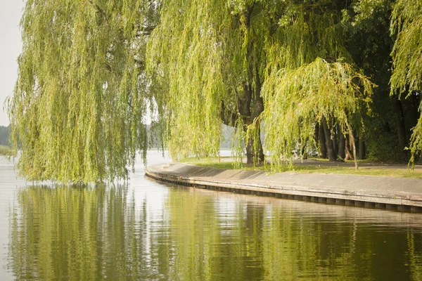 Lake promenade — Stock Photo, Image