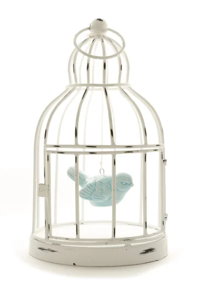 Bird in cage — Stock Photo, Image