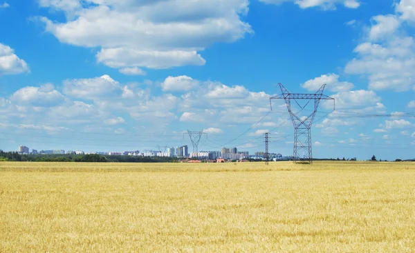Power line that goes to the city — Stock Photo, Image