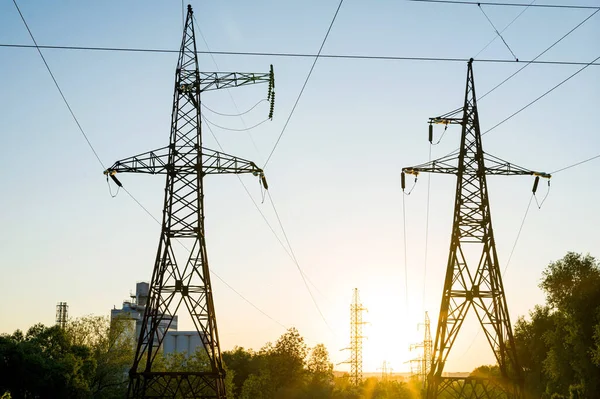 Metalen Ankersteunen Met Hoogspanningsdraden Achtergrond Van Plant Het Bosgebied Zonsondergang — Stockfoto