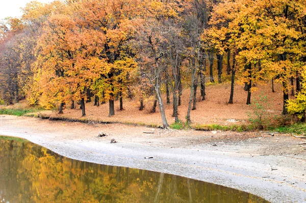 Meer met kristal helder water tegen de achtergrond van bomen — Stockfoto