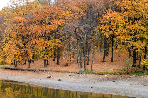 Landschap - meer met kristal helder water — Stockfoto