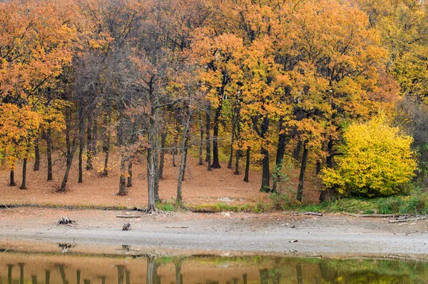 Lago con acqua cristallina sullo sfondo di autunno t — Foto Stock