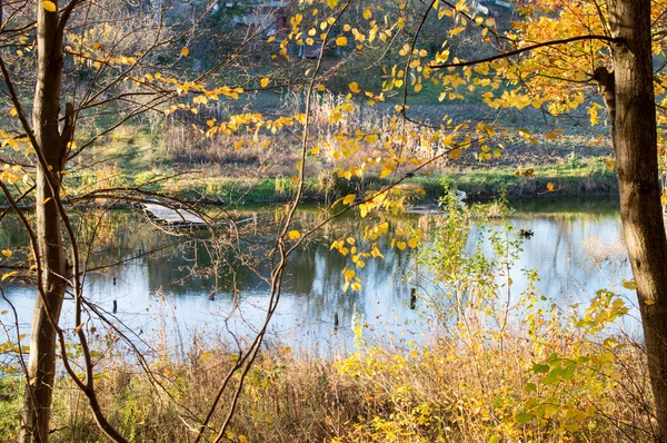 Lake with clear water in the autumn forest — Stock Photo, Image