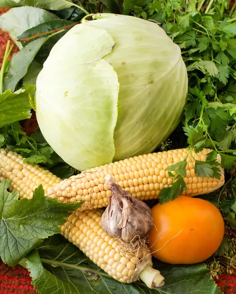 Färska grönsaker - vitlök, kål, majs, tomater från gard — Stockfoto