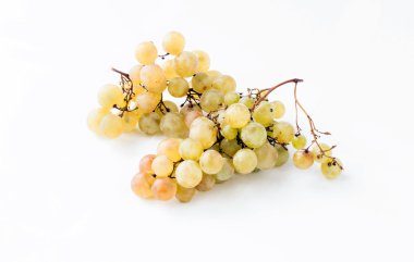 Olgun üzüm dallar yeşil 