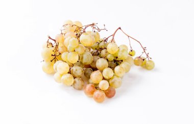 Olgun üzüm dallar yeşil