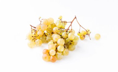 Olgun üzüm dallar yeşil 