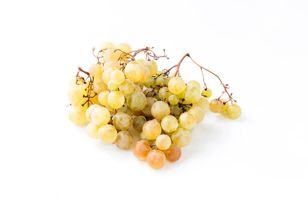 Tisanes raisins mûrs verts — Photo