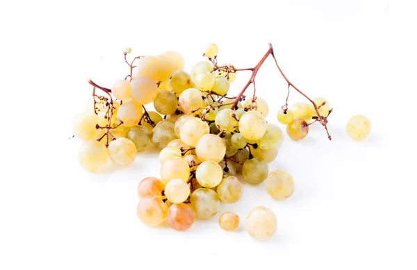Galhos uvas verdes maduras — Fotografia de Stock