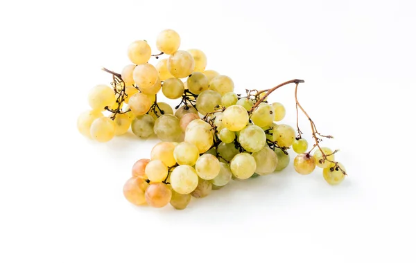 Twigs green ripe grapes — Stock Photo, Image