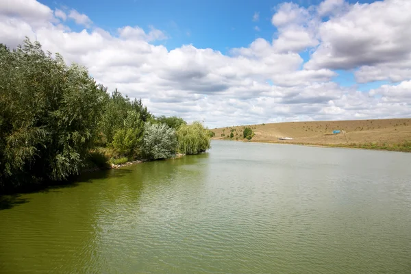 Schöner Sommerlandschaft-See mit Bäumen an den Seiten — Stockfoto